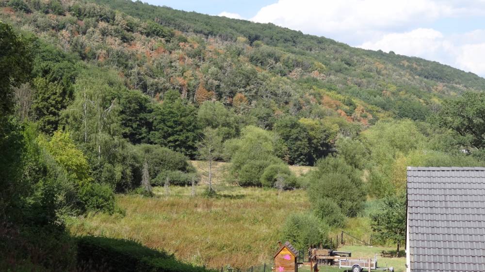chemin_campagne.jpg